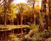 A Forest Stream - 佩德·莫克·曼斯特德